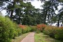 matunamiki060430-32.jpg