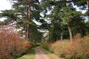 matunamiki060501-11.jpg