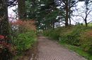 matunamiki060503-01.jpg