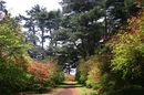 matunamiki060503-21.jpg