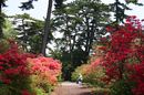 matunamiki060503-36.jpg