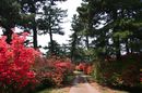 matunamiki060503-39.jpg