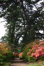 matunamiki060505-29.jpg