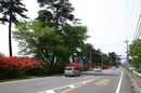 matunamiki060505-31.jpg