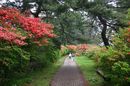 matunamiki060508-10.jpg