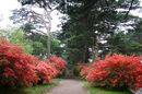 matunamiki060508-28.jpg