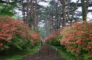 matunamiki060508-42.jpg