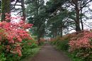 matunamiki060508-49.jpg
