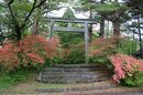 matunamiki060508-56.jpg