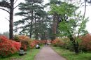 matunamiki060508-65.jpg