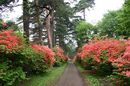 matunamiki060511-31.jpg