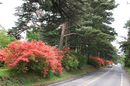 matunamiki060511-46.jpg