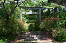 matunamiki060521-06.jpg